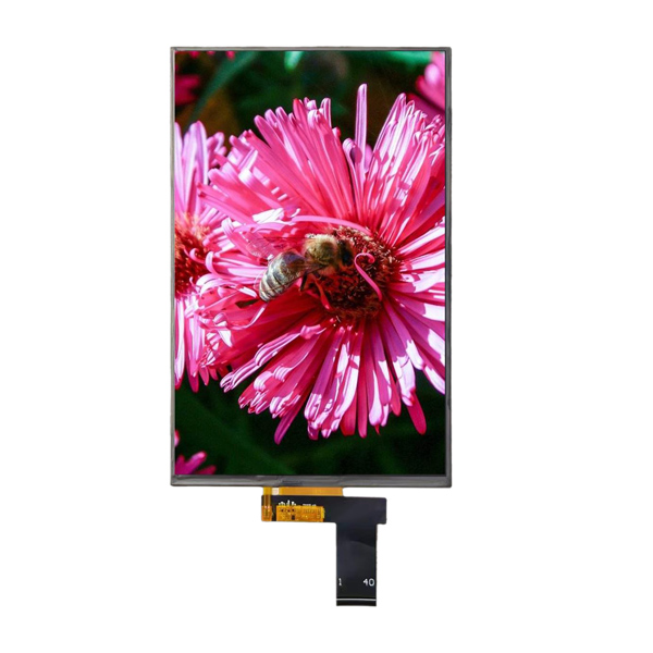 10.1 inch TFT Display MIPI Interface with High Resolution
